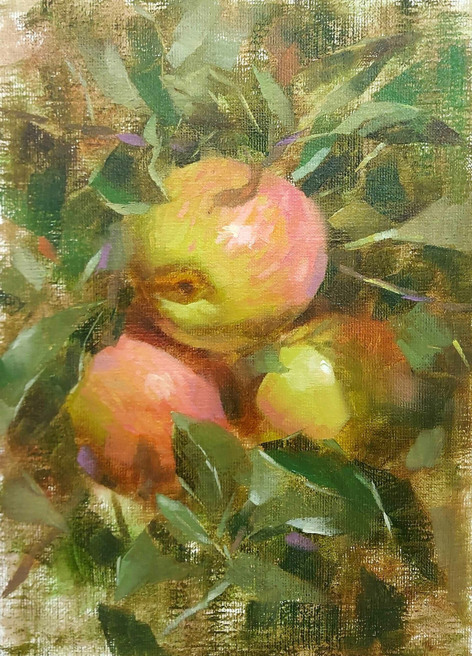 甜美的果實/油畫-樹上的蘋果